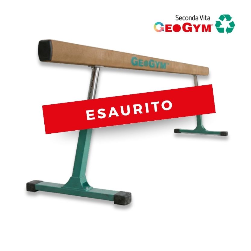TRAVE GRADUABILE GEOGYM CONFORME AL R.T.I.-SECONDA VITA