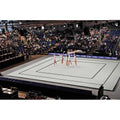 PEDANA AEROBICA SPIETH MOD. BAKU CERT. FIG